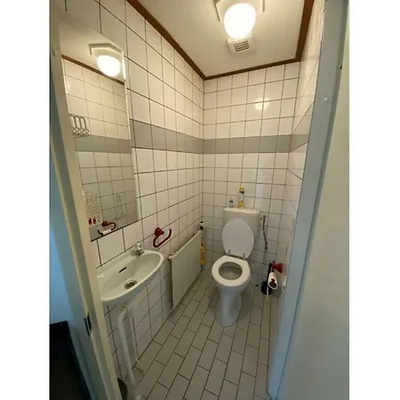 Noordzee Omheind Met Hond * Dirkshorn