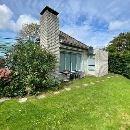 Noordzee Omheind Met Hond